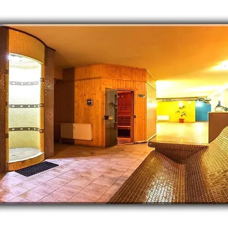 T&m Apartment