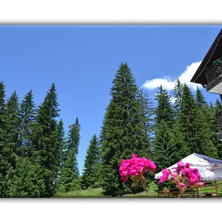 T&m Pamporovo