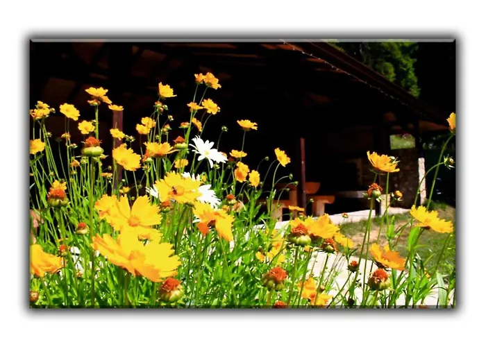 Apartment Teo And Miki 612