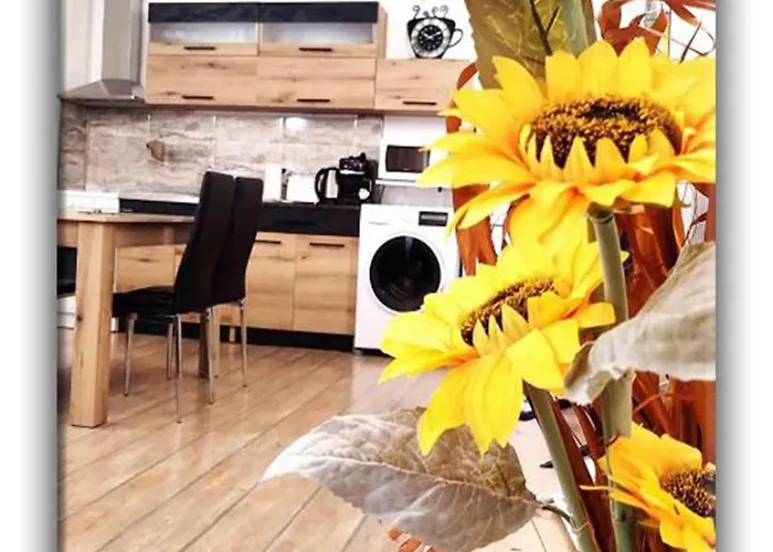 Апартаменты Teo And Miki 612 Пампорово