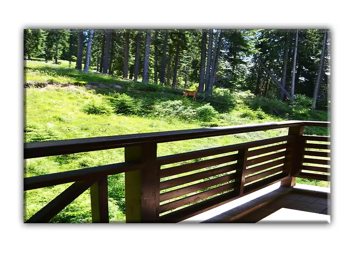 Teo And Miki 612 Апартаменты