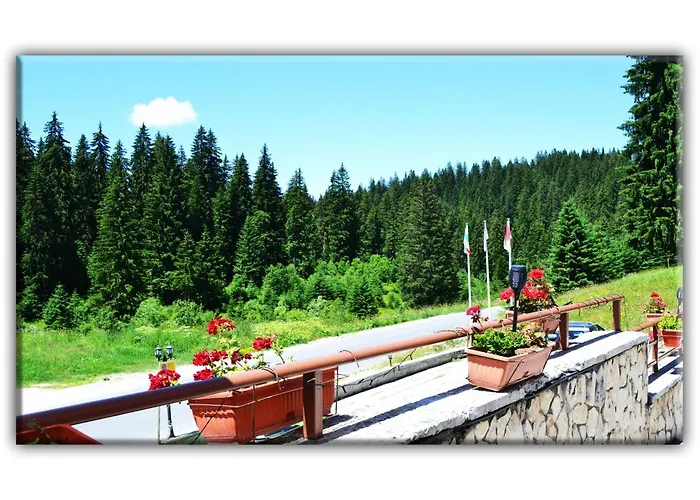 Апартаменты Teo And Miki 612