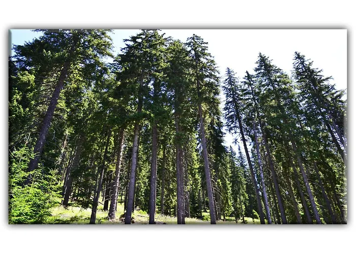 Teo And Miki 612 Apartment *