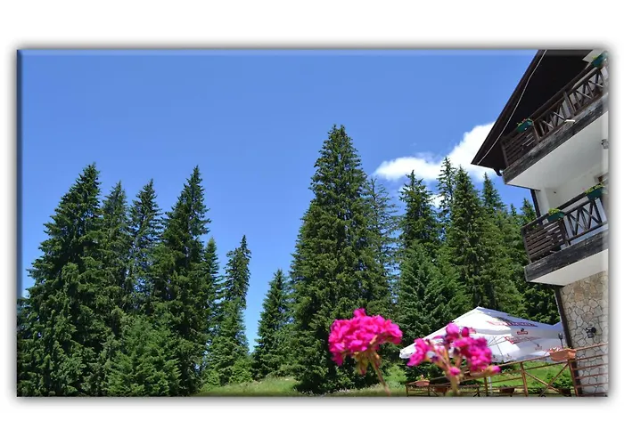 Teo And Miki 612 Пампорово