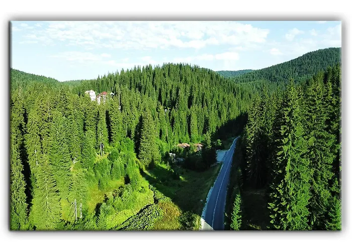 Teo And Miki 612 * Пампорово