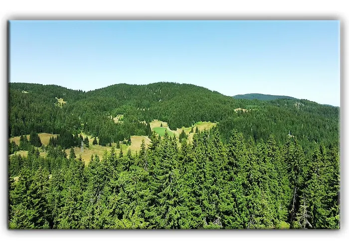 Teo And Miki 612 Пампорово