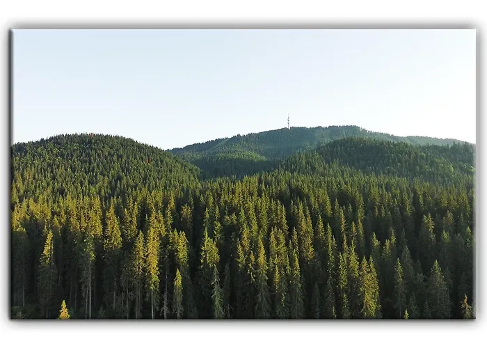 Апартаменты Teo And Miki 612