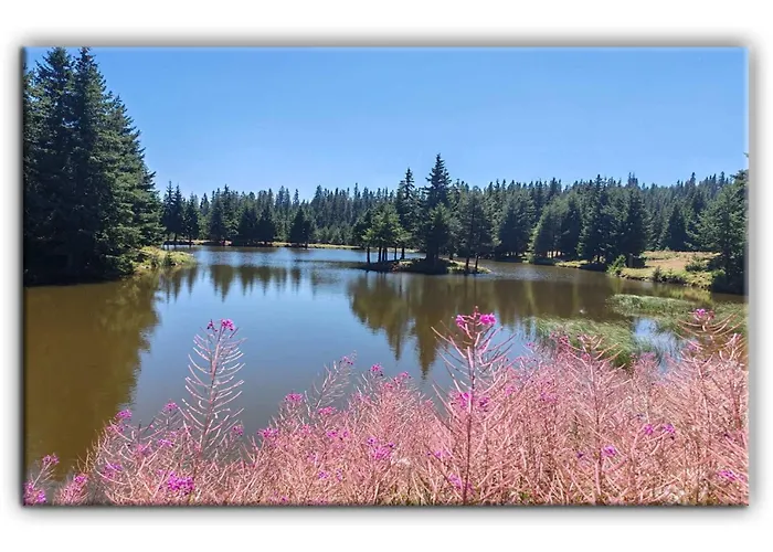 Teo And Miki 612 Apartment