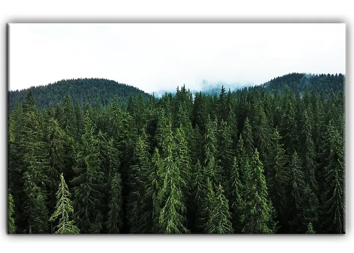 Teo And Miki 612 Апартаменты Пампорово