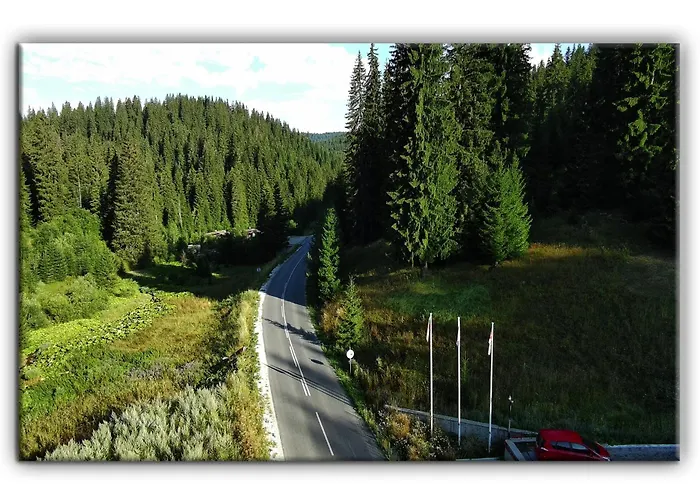 Teo And Miki 612 * Пампорово