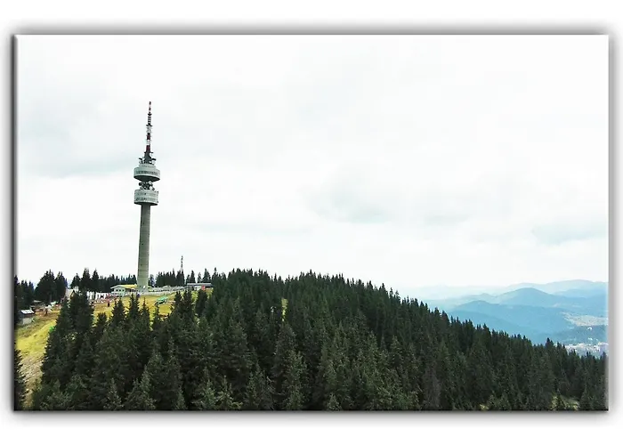 Teo And Miki 612 * Pamporovo